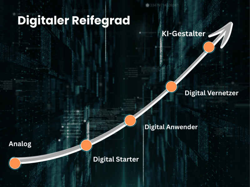 Digitaler Reifegrad (3)